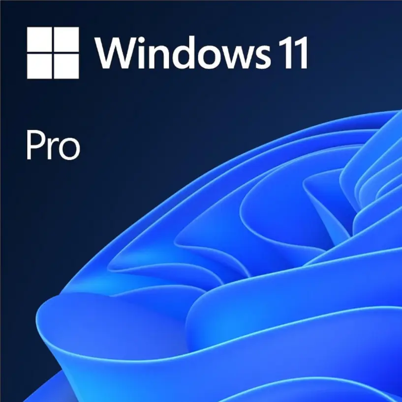WIN 11 PRO 64BIT ENG