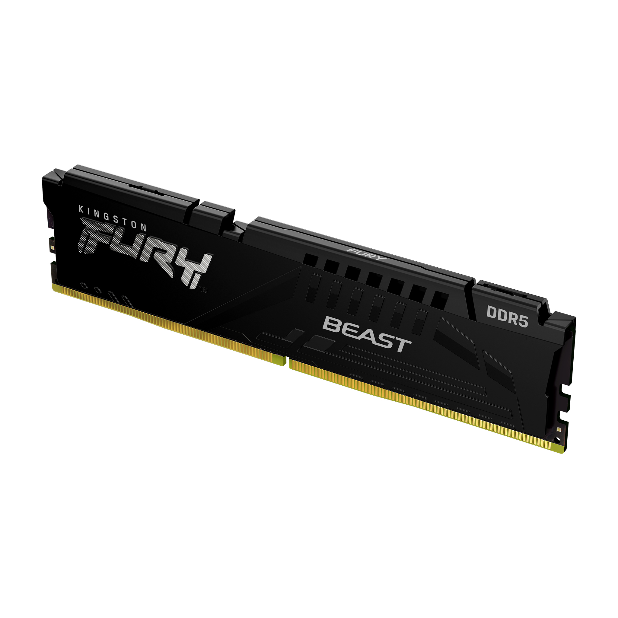 FURY BEAST EXPO 32G(16G*2) DDR5 6000MT/S BLACK