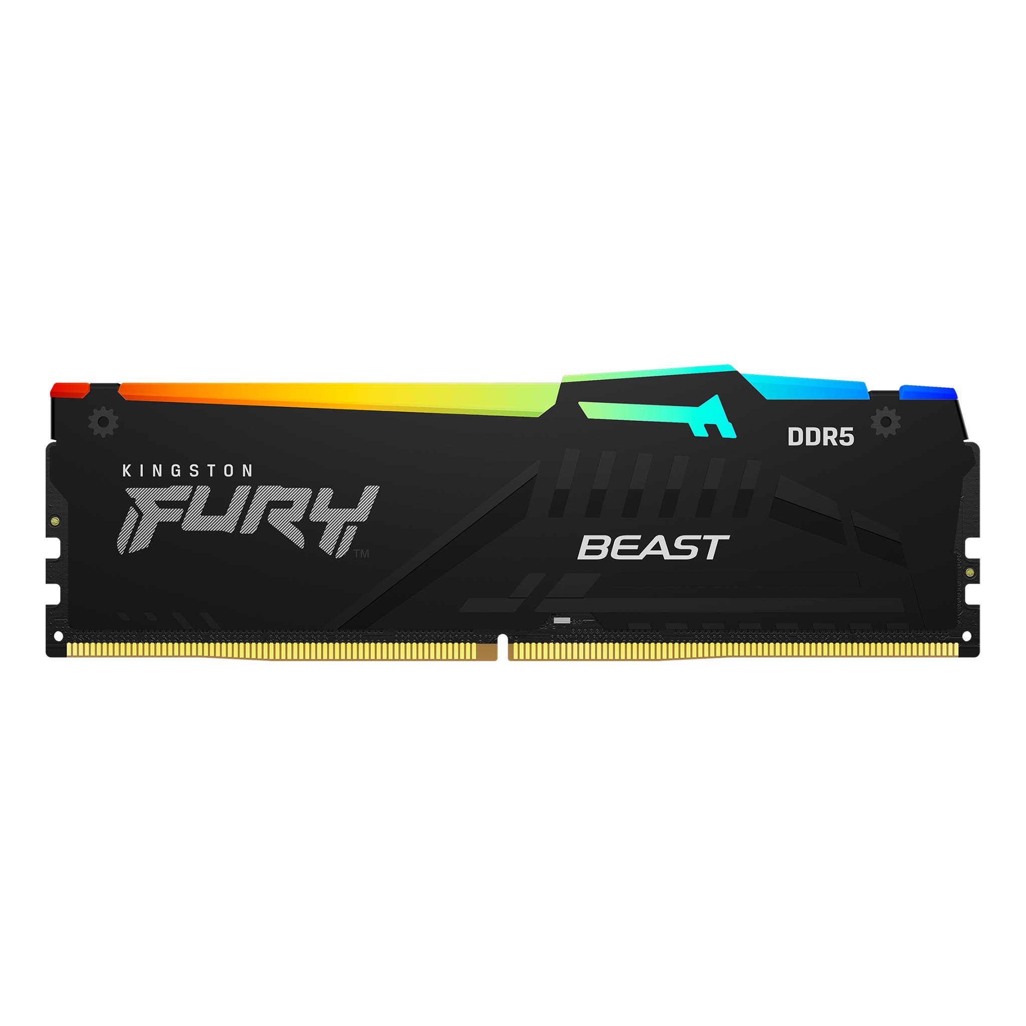 KINGSTON FURY BEAST RGB AMD EXPO 64G(32G*2) DDR5 5600MT/S